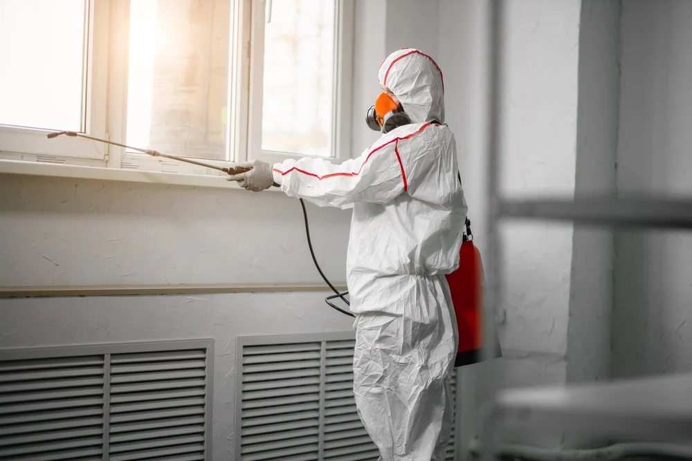 Professional mold remediation services in Cecil, WI